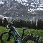 Alpina Gyger Wengen
