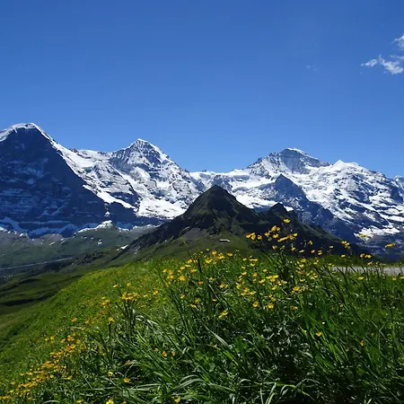 ベッド・アンド・ブレックファスト Alpina Gyger