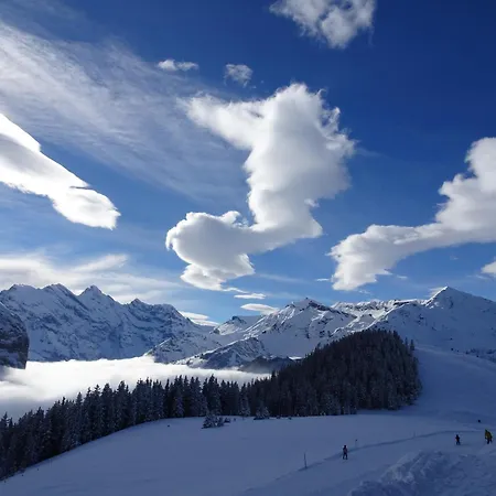 Alpina Gyger Panzió