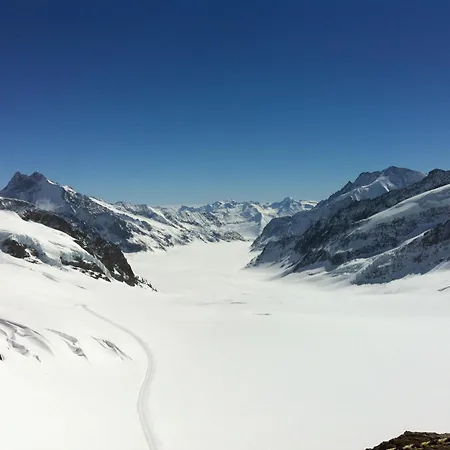 Alpina Gyger 3* Wengen