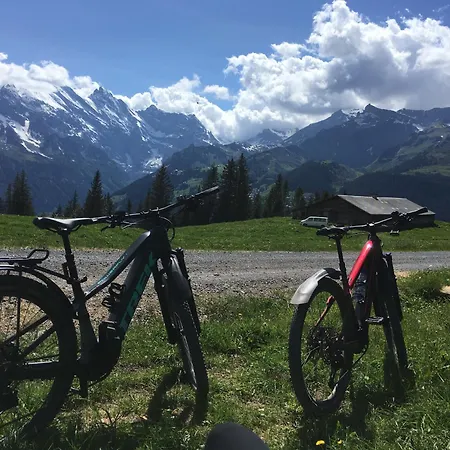 Bed & Breakfast Alpina Gyger Wengen